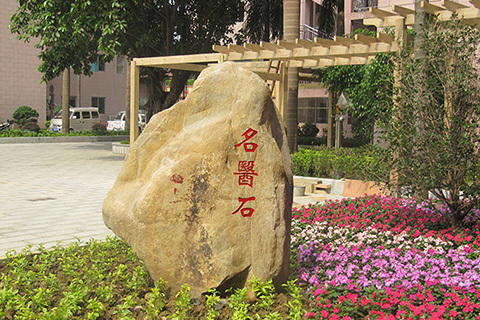 名医石
