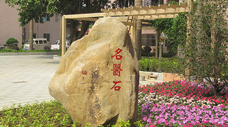 名医石